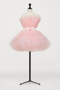 Hot Pink A-line Short Tulle Party Dress