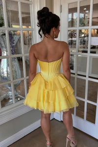 Blush Corset A-line Short Ruffle Dress