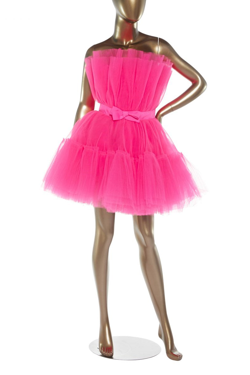 Hot Pink A-line Short Tulle Party Dress
